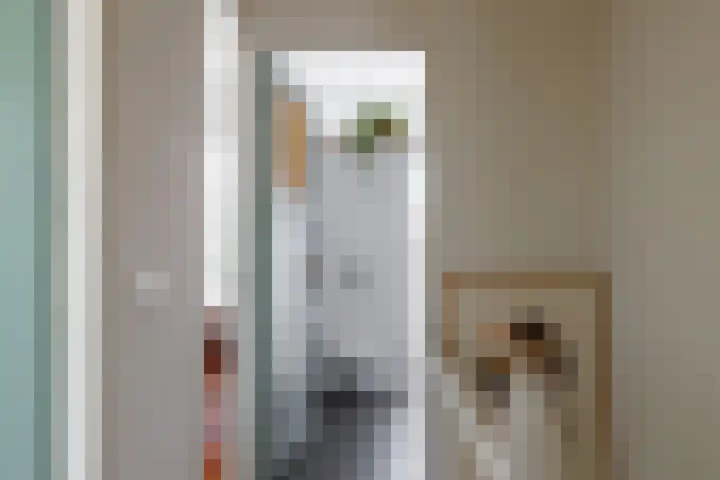 Hyacintstraat 17 Utrecht thumbnail 17