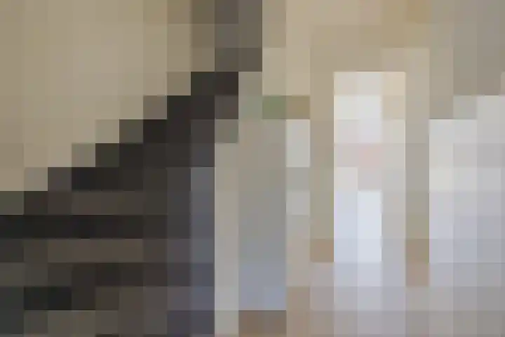 Hyacintstraat 18 Oosterhout thumbnail 10