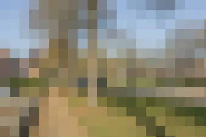 Hyacintstraat 18 Oosterhout thumbnail 37