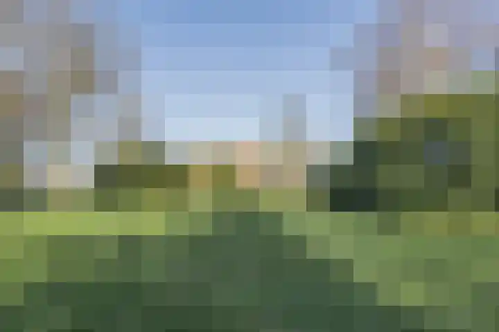 Hyacintstraat 18 Oosterhout thumbnail 39