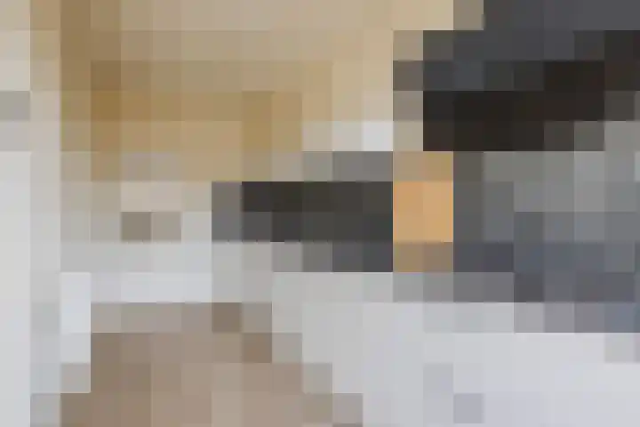 Hyacintstraat 18 Oosterhout thumbnail 4