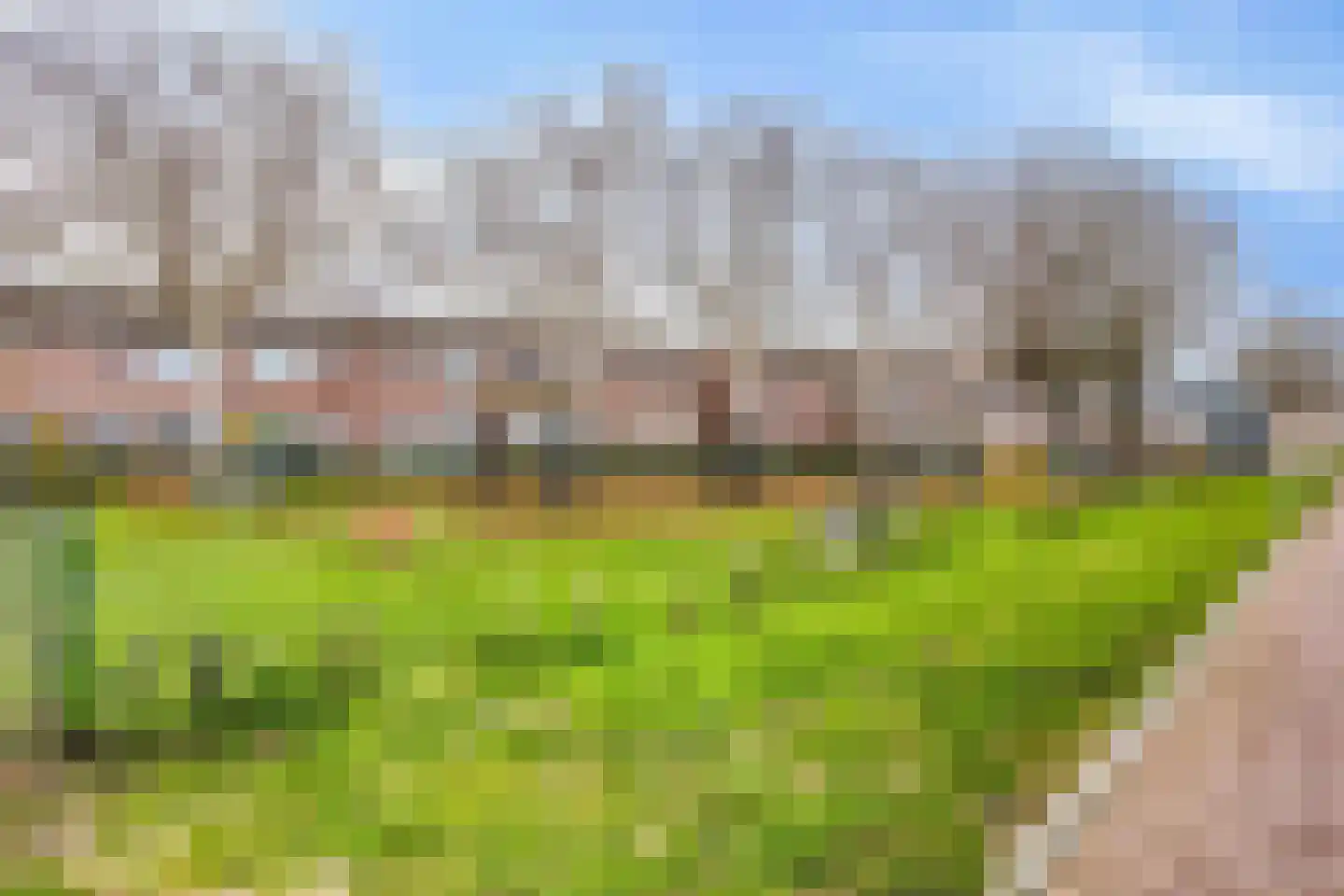 Hyacintstraat 2 Kloosterzande thumbnail 26