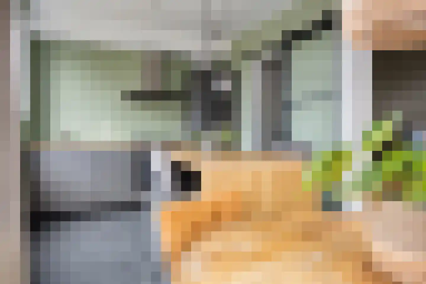 Hyacintstraat 2 Kloosterzande thumbnail 7