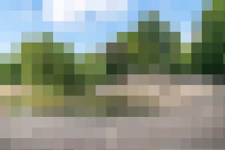 Hyacintstraat 22 BS Utrecht thumbnail 36
