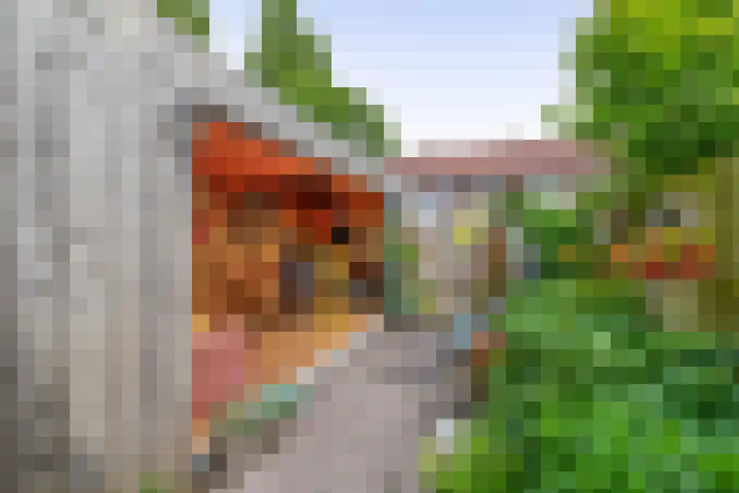 Hyacintstraat 36 Wormerveer thumbnail 20