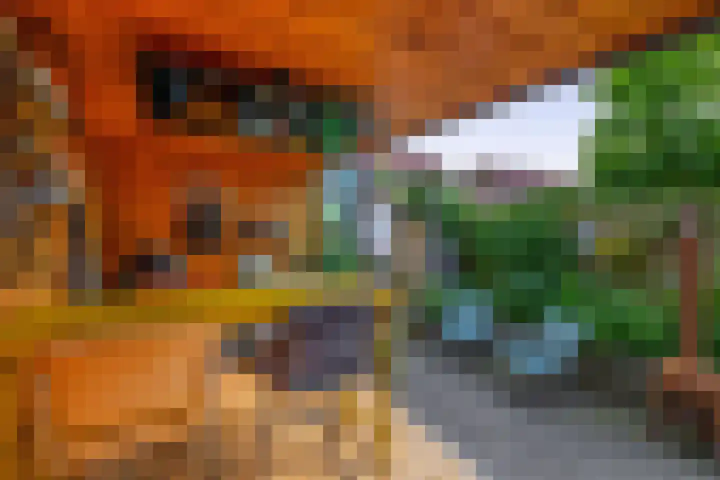 Hyacintstraat 36 Wormerveer thumbnail 22