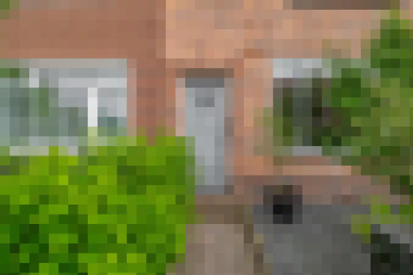 Hyacintstraat 36 Wormerveer thumbnail 7