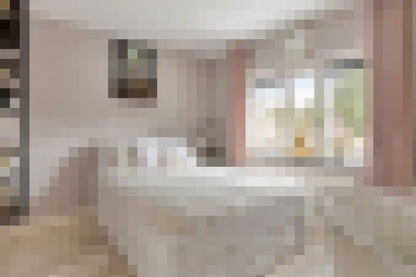 Hyacintstraat 6 Helmond thumbnail 21