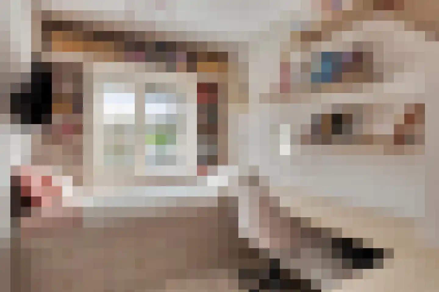 Hyacintstraat 6 Helmond thumbnail 25