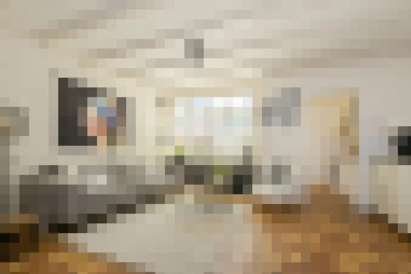 Hyacintstraat 9 Koog aan de Zaan thumbnail 11