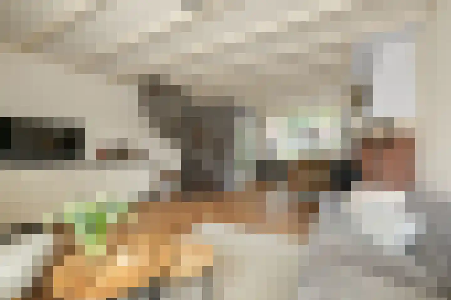 Hyacintstraat 9 Koog aan de Zaan thumbnail 12