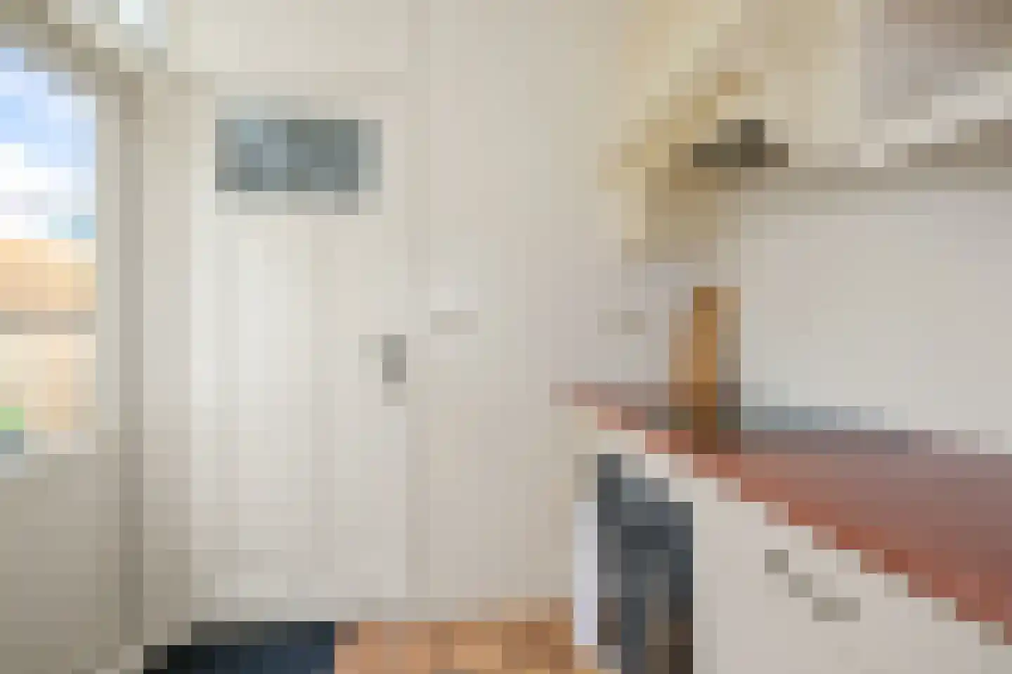 Hyacintstraat 9 Koog aan de Zaan thumbnail 17