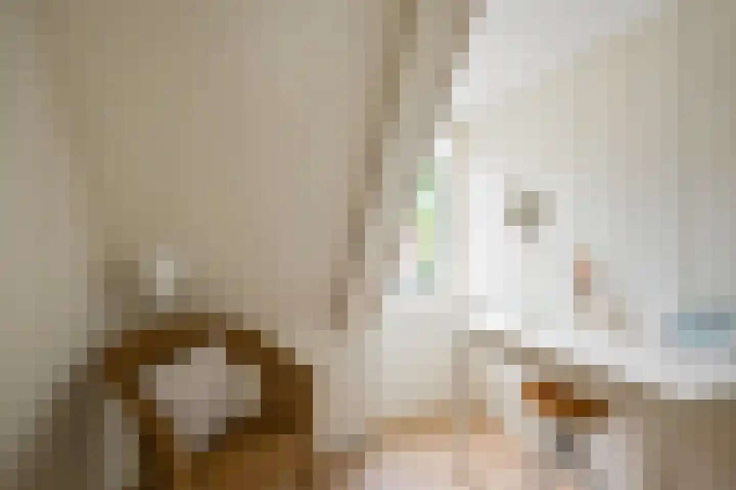 Hyacintstraat 9 Koog aan de Zaan thumbnail 22