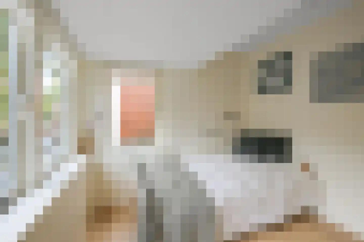 Hyacintstraat 9 Koog aan de Zaan thumbnail 24