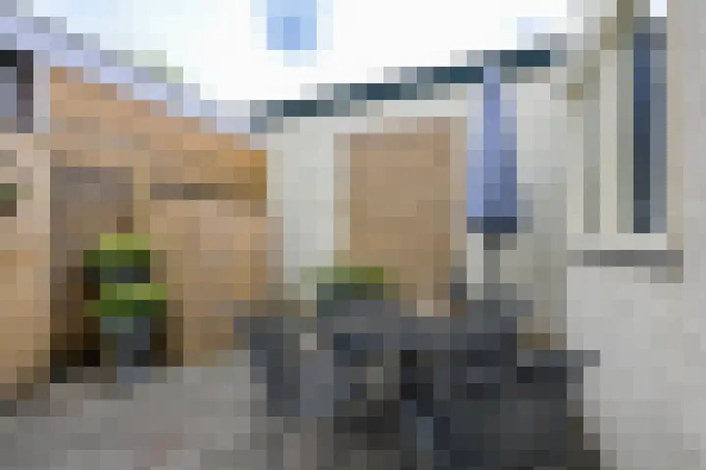 Hyacintstraat 9 Koog aan de Zaan thumbnail 34