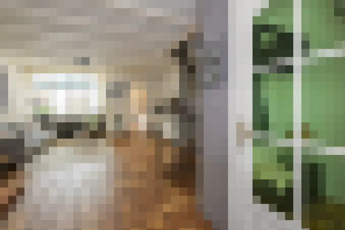 Hyacintstraat 9 Koog aan de Zaan thumbnail 4