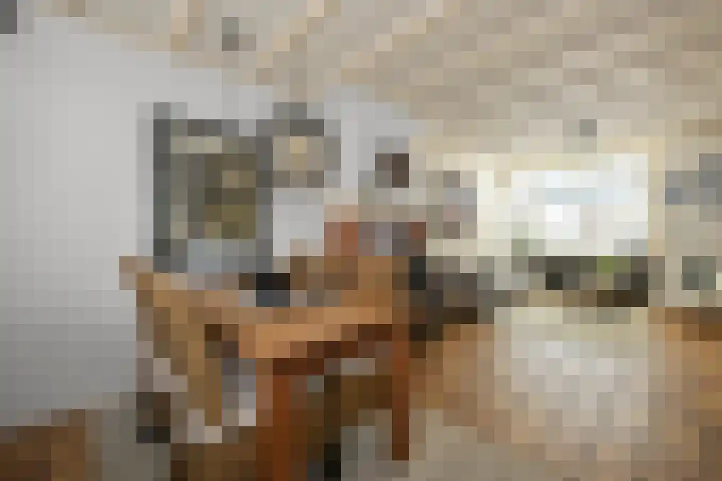 Hyacintstraat 9 Koog aan de Zaan thumbnail 5