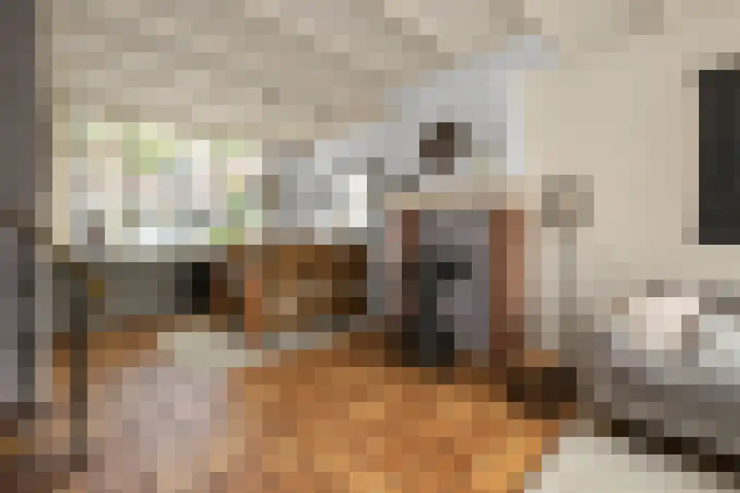 Hyacintstraat 9 Koog aan de Zaan thumbnail 8