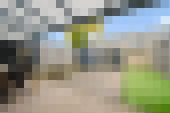 Hydrapad 14 Spijkenisse thumbnail 16