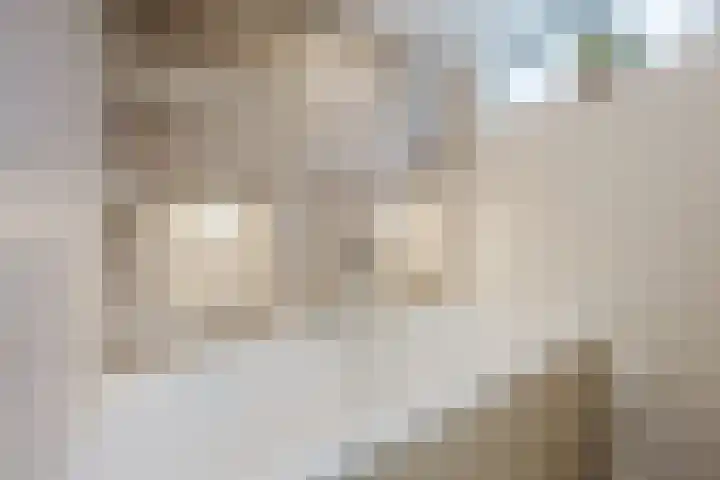 Hydrapad 14 Spijkenisse thumbnail 22