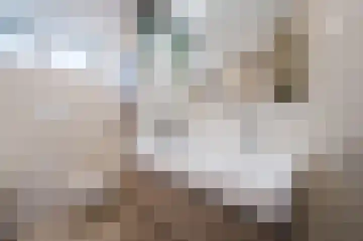 Hydrapad 14 Spijkenisse thumbnail 23