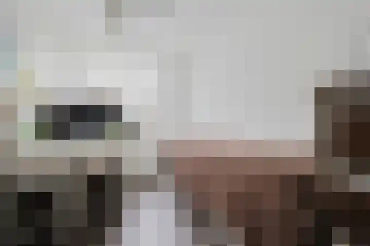 Hydrapad 14 Spijkenisse thumbnail 26