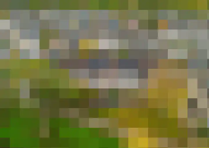 Hydrapad 14 Spijkenisse thumbnail 6
