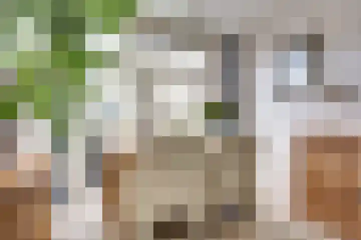 Hydrapad 2 Spijkenisse thumbnail 10