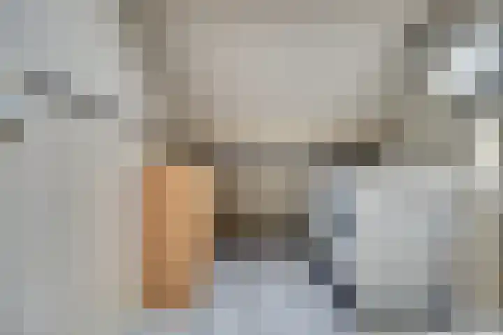 Hydrapad 2 Spijkenisse thumbnail 29