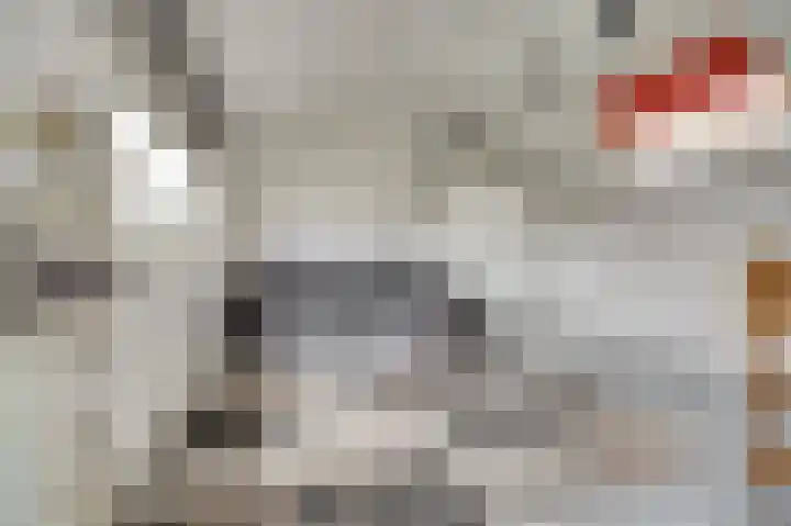 Hydrapad 2 Spijkenisse thumbnail 32