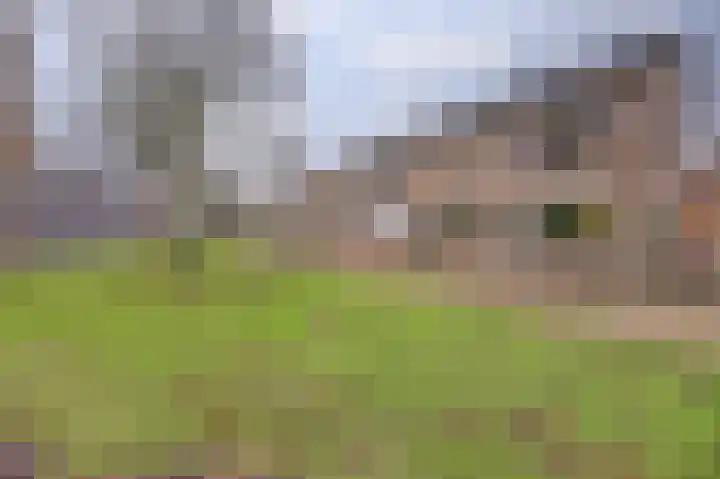 Hydrapad 2 Spijkenisse thumbnail 33