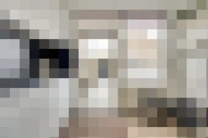 Hydrapad 2 Spijkenisse thumbnail 5