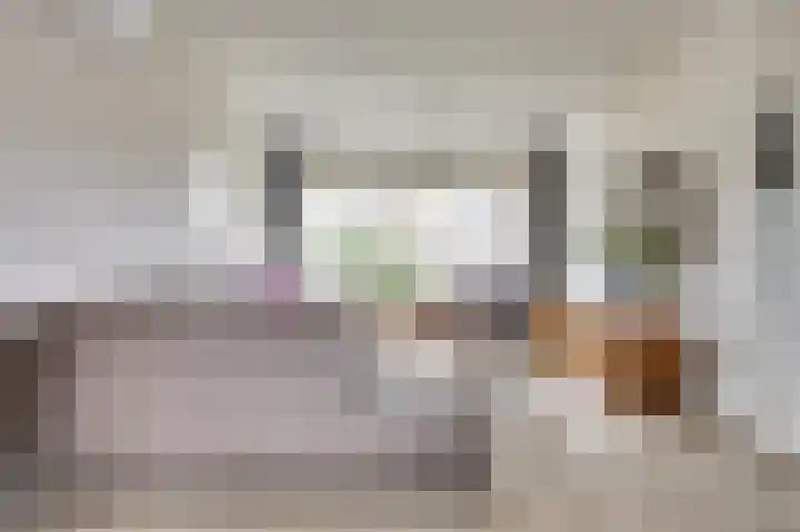 Hydrapad 2 Spijkenisse thumbnail 6
