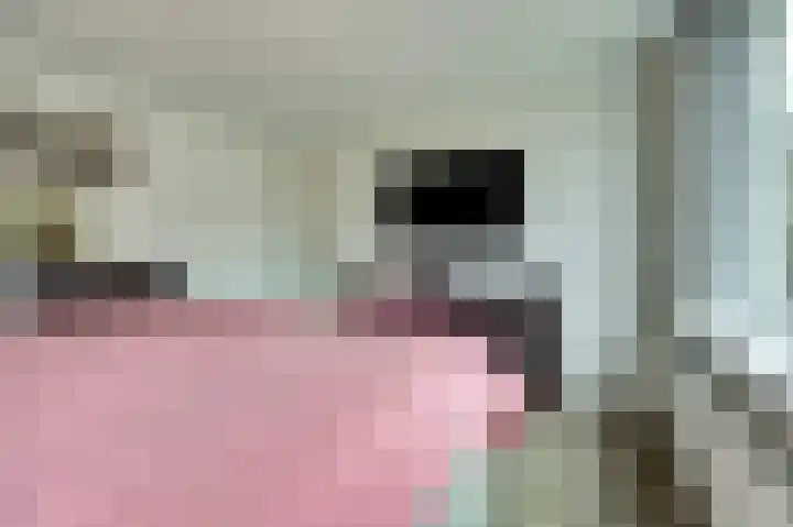 Hydrapad 8 Spijkenisse thumbnail 22