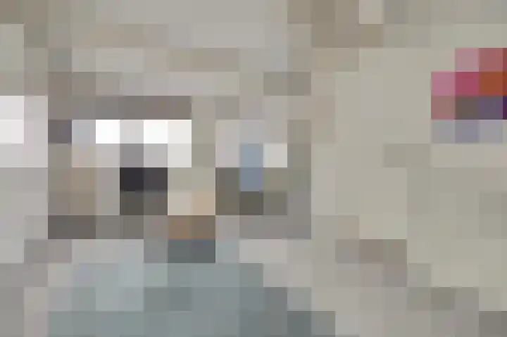 Hydrapad 8 Spijkenisse thumbnail 28