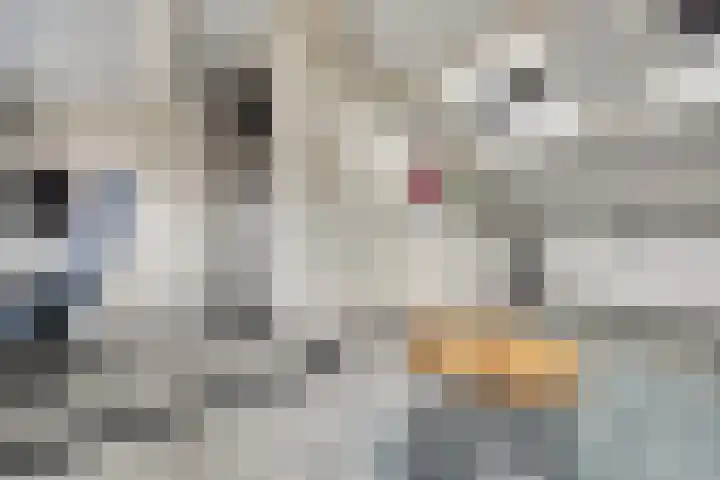 Hydrapad 8 Spijkenisse thumbnail 29