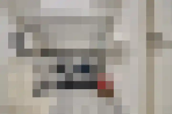 Hydrapad 8 Spijkenisse thumbnail 30