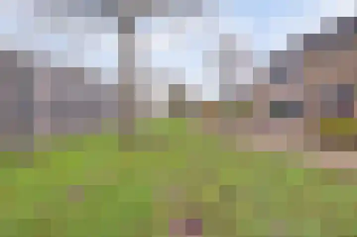 Hydrapad 8 Spijkenisse thumbnail 32