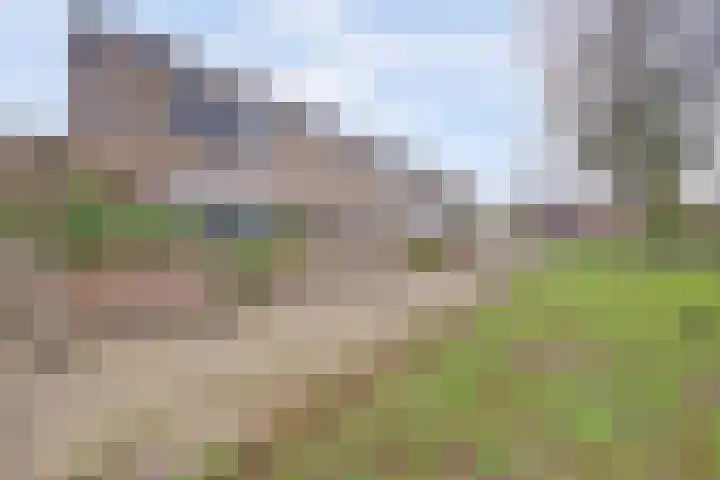 Hydrapad 8 Spijkenisse thumbnail 33