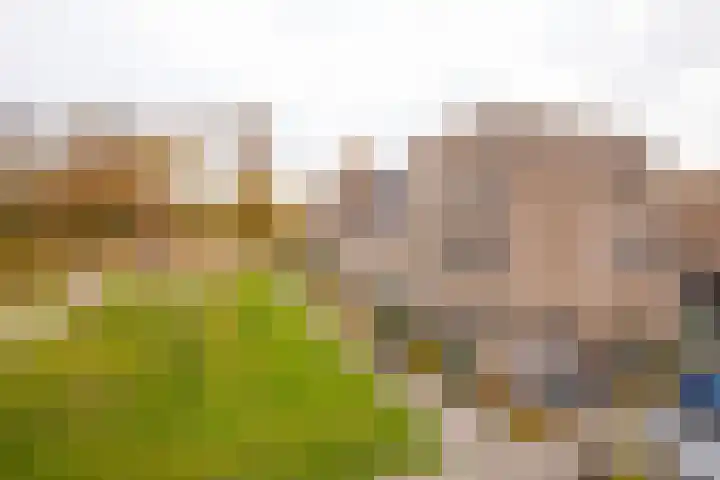 Hydrofoor 35 Zevenaar thumbnail 8