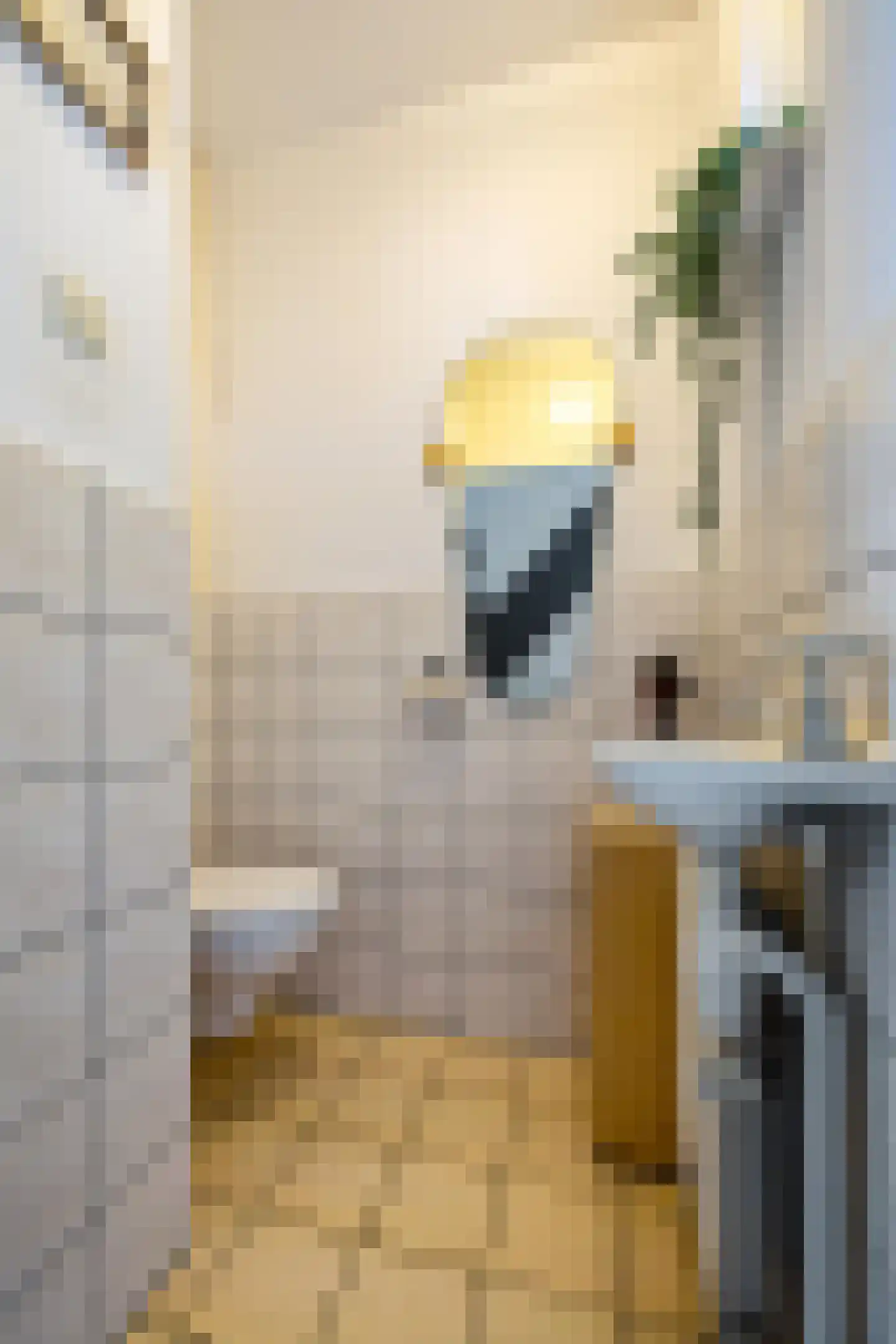 Hylkemaheerd 25 Groningen thumbnail 10
