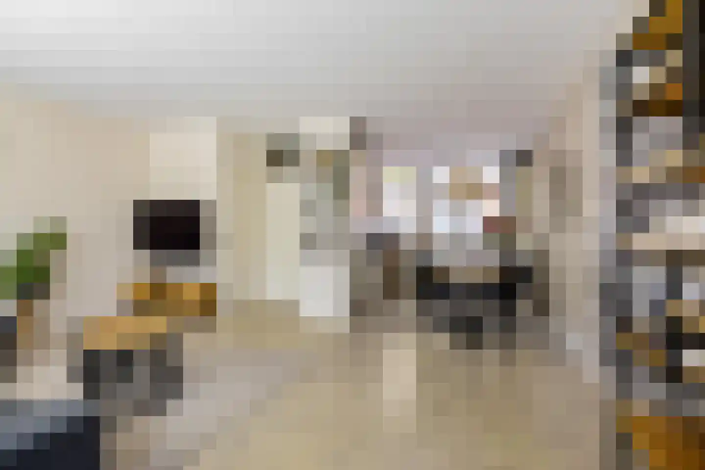 Hylkemaheerd 25 Groningen thumbnail 14