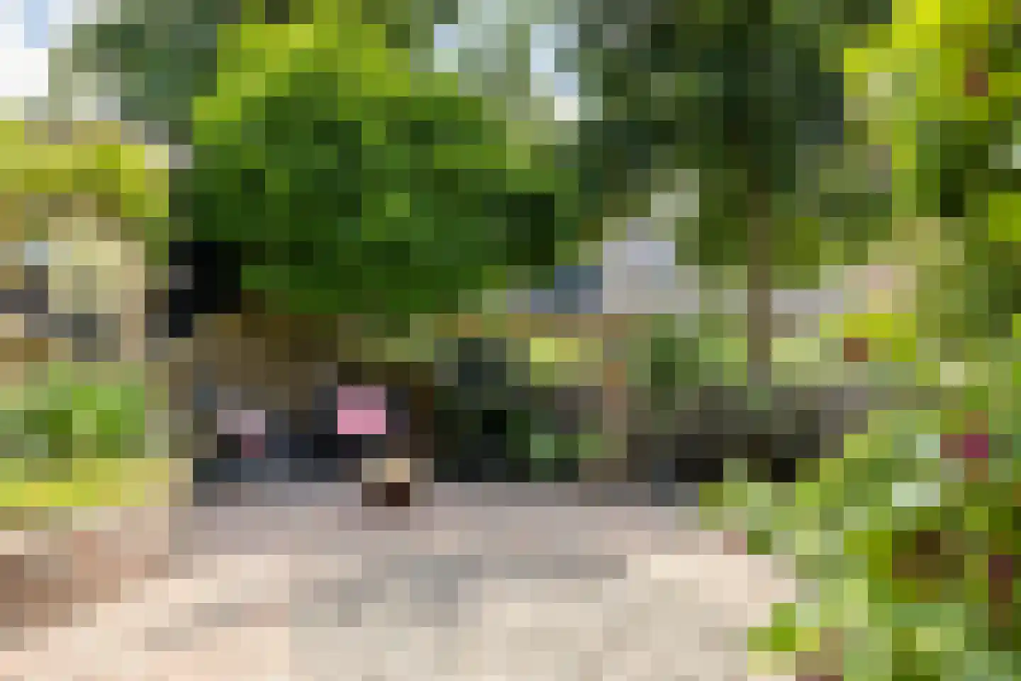Hylkemaheerd 25 Groningen thumbnail 22