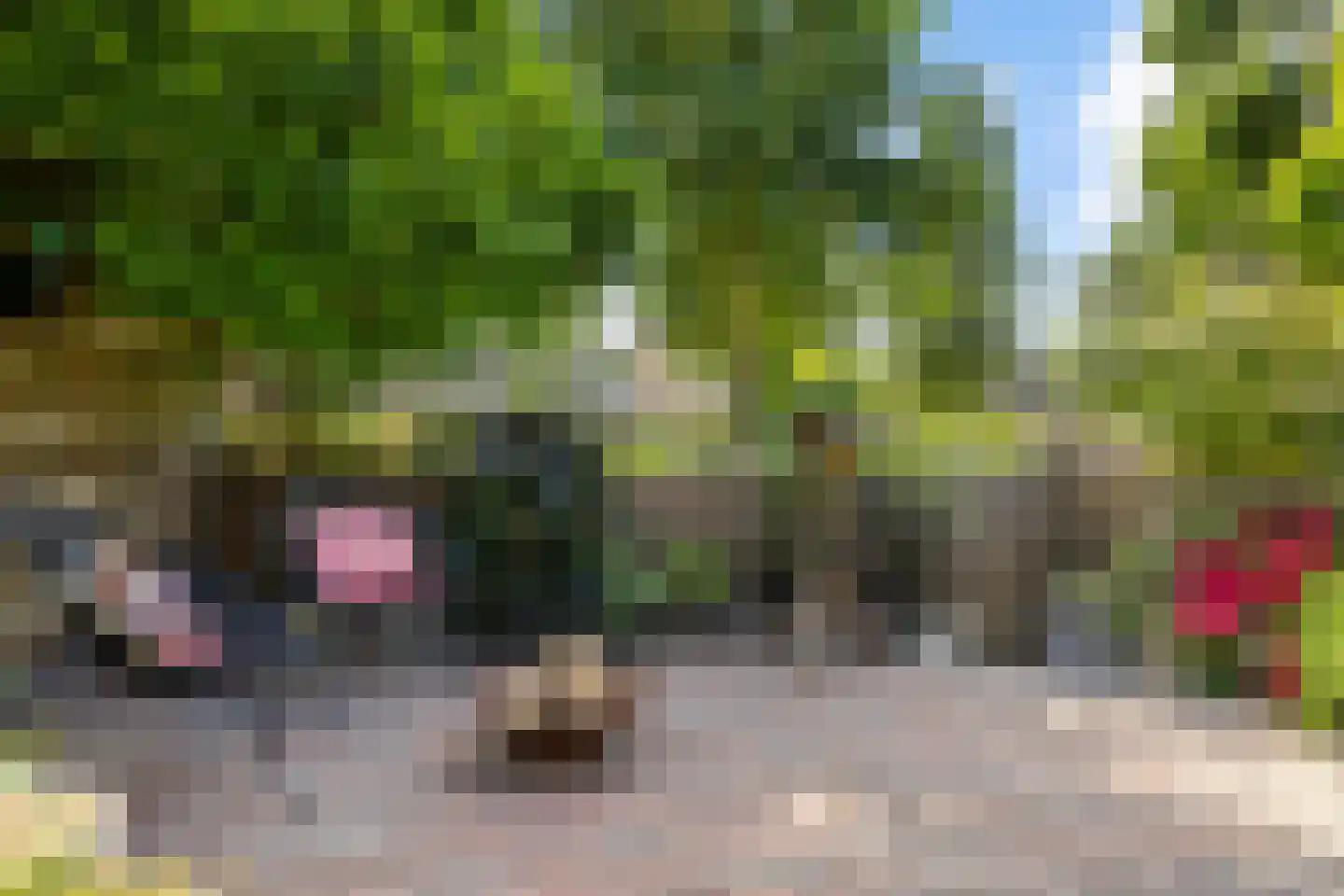 Hylkemaheerd 25 Groningen thumbnail 23