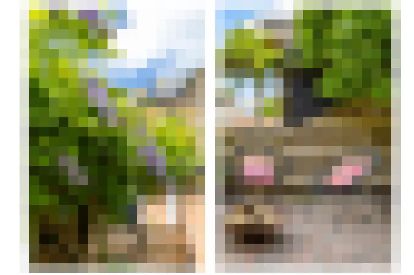 Hylkemaheerd 25 Groningen thumbnail 24