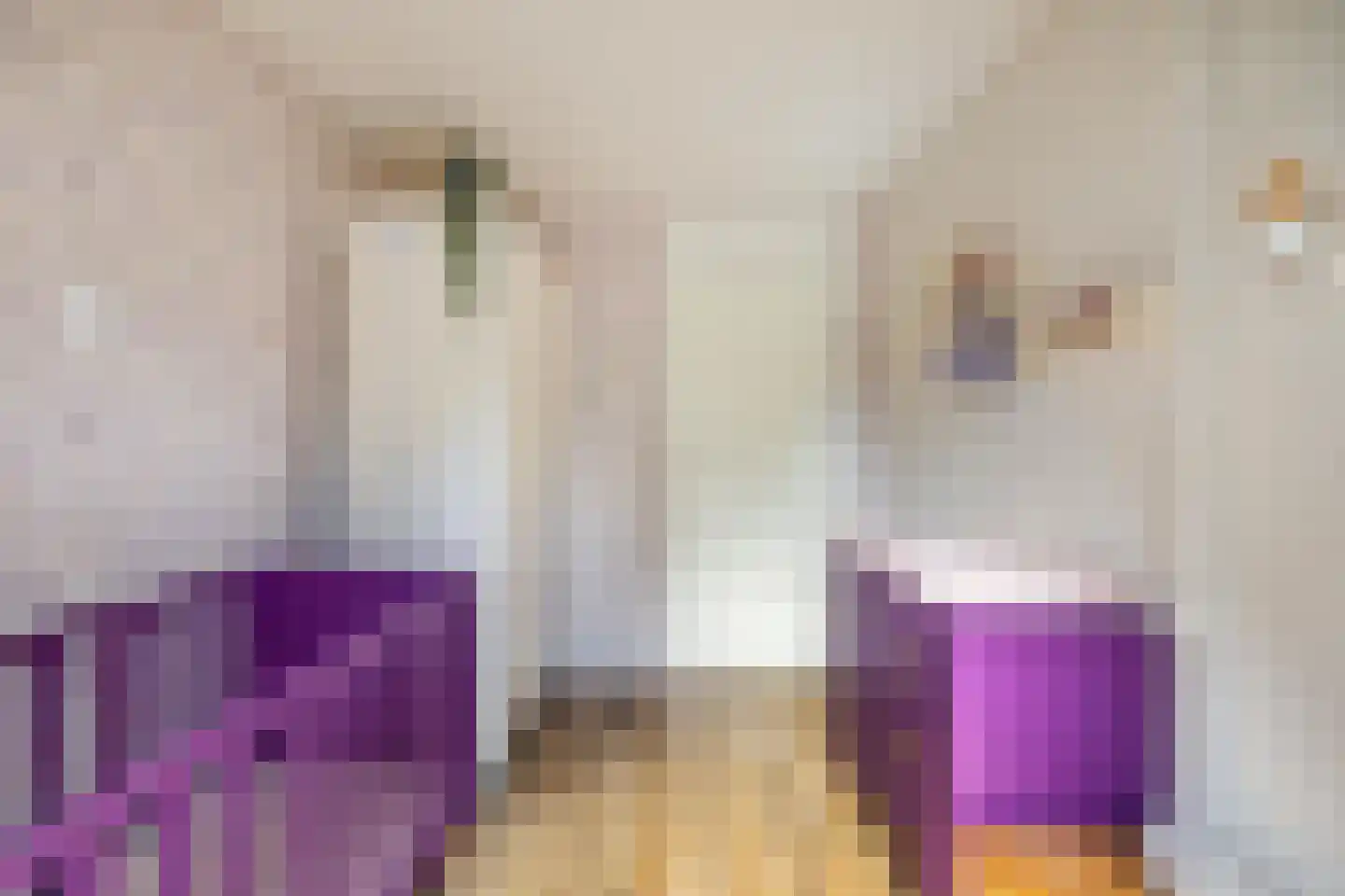 Hylkemaheerd 25 Groningen thumbnail 34