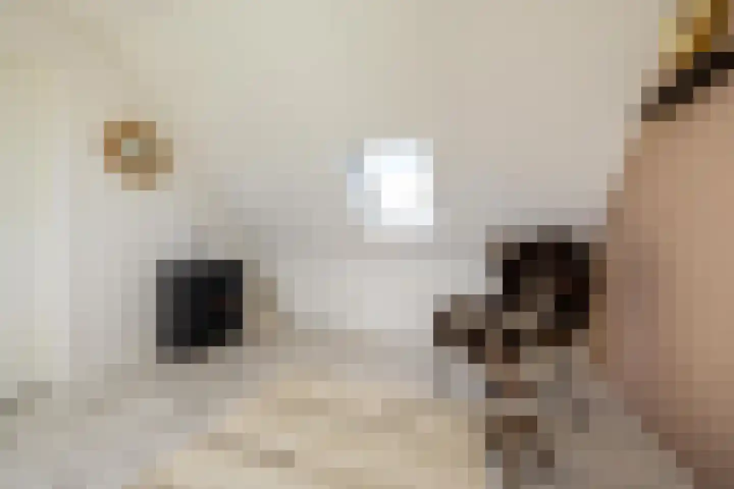 Hylkemaheerd 25 Groningen thumbnail 40