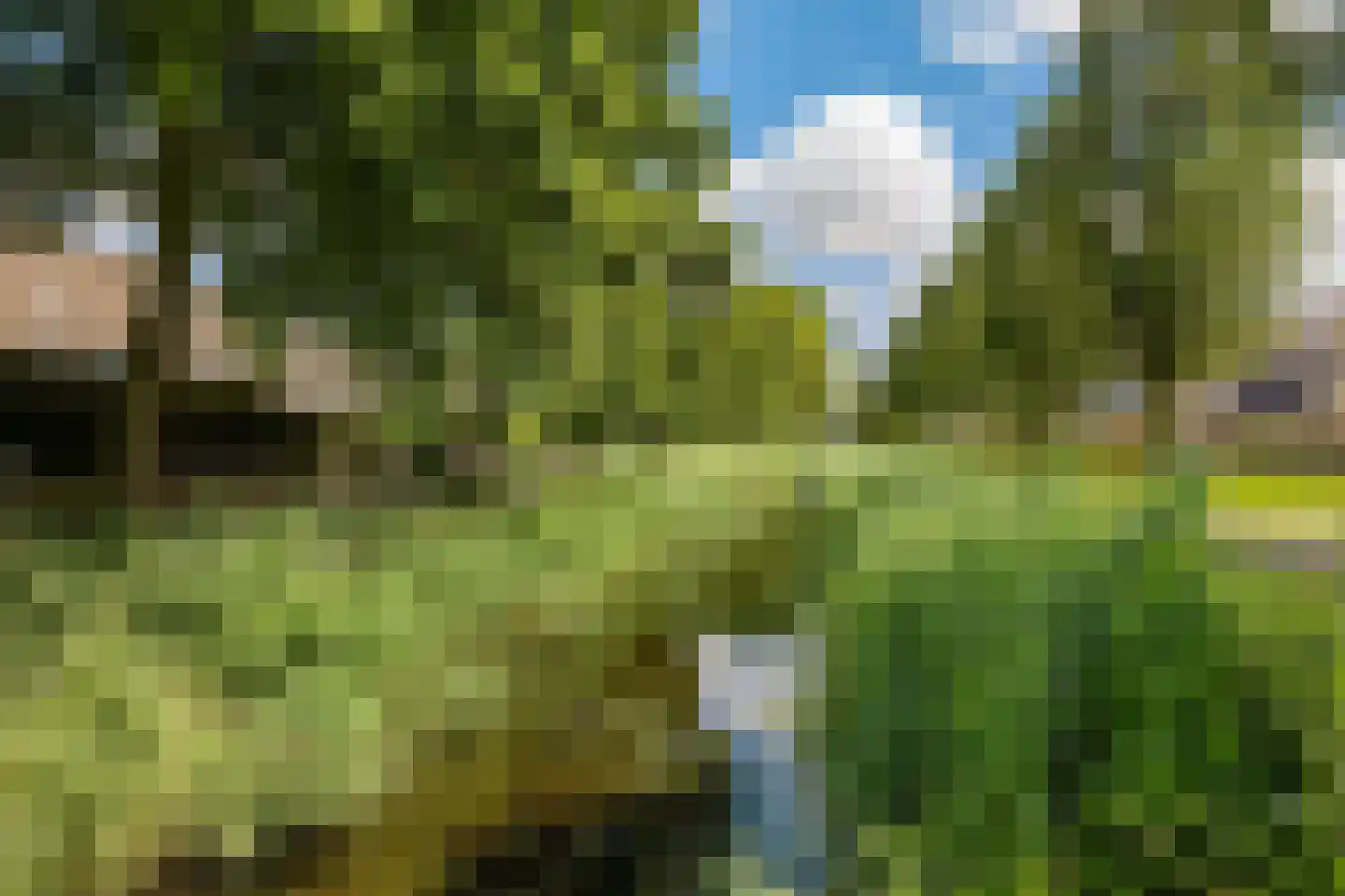 Hylkemaheerd 25 Groningen thumbnail 42