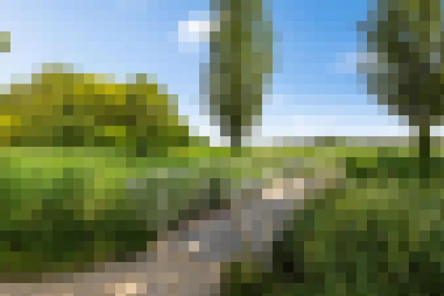 Hylkemaheerd 25 Groningen thumbnail 43