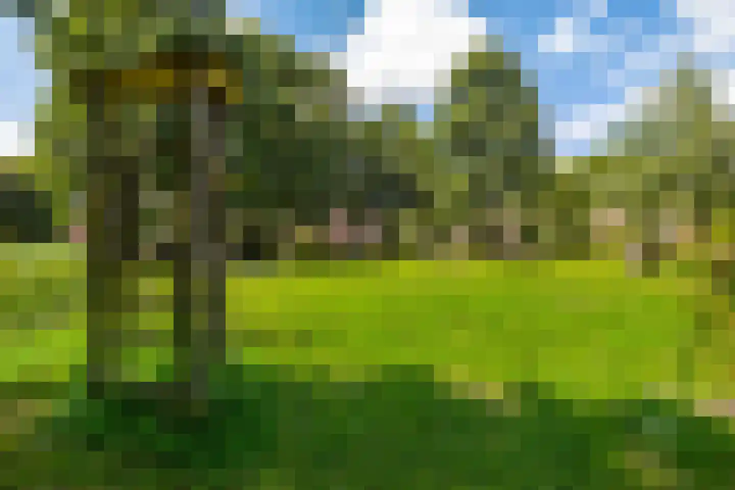 Hylkemaheerd 25 Groningen thumbnail 44